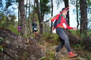 BIB: 
                            <button type="button" onclick="openModal(18946906)" class="btn btn-primary btn-sm float-right btn-popup" data-toggle="modal" data-target=".modal-high-quality">
                        <i class="fas fa-shopping-cart"></i> Add to Cart
                    </button>
                                            <button type="button" onclick="isThisMe(18946906, true)" class="btn btn-success btn-sm float-right btn-popup btn-isme hidden" data-toggle="tooltip" data-placement="bottom" title="นี่คือรูปของคุณใช่ไหม คลิกที่นี่เพื่อเอาเข้าอัลบั้ม">
                        <i class="fas fa-plus"></i> Add to album
                    </button>
                    <button type="button" onclick="isThisMe(18946906, false)" class="btn btn-warning btn-sm float-right btn-popup btn-isnotme hidden">
                        <i class="fas fa-ban"></i> Remove from album
                    </button>